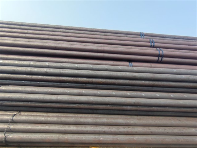 IMG_20230401_153420.jpg IMG_20230401_153420.jpg