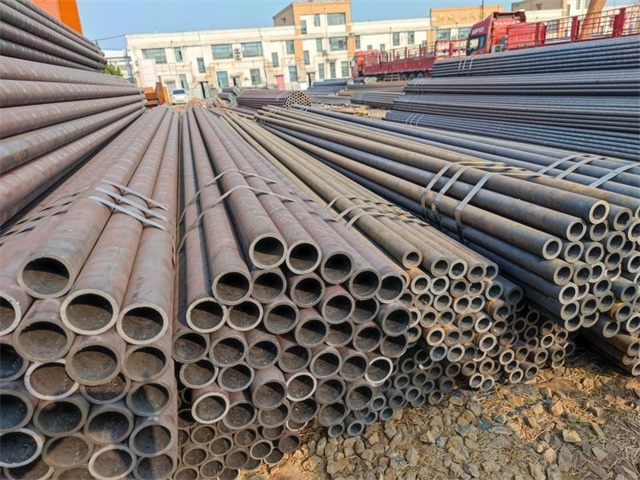 IMG_20230401_155315.jpg IMG_20230401_155315.jpg